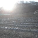 살미면사무소 이미지