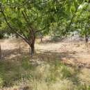 전원부동산중개인사무소 이미지