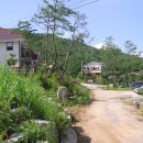 금당아트 밸리 이미지