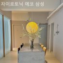 자이로토닉에코삼성