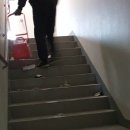 이모텍스