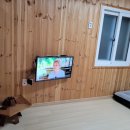 괴산펜션 이미지