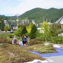 (주) 힐스템건강 이미지