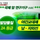 완성사 이미지