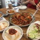 고래등바다장어 이미지