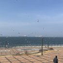 전망좋은휴게소 이미지