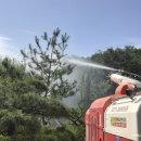 마을 보호수 이미지