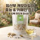 임산부 캐모마일차 효능 및 카페인 정리, 카모마일 꽃 티백 티(티백) 마시는 법