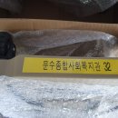 천순자