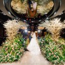 나의 행복한 숲정원(이론과 답사) | 오스티엘 본식스냅 추천 | 구로역웨딩홀 결혼식 후기 | 구로웨딩의전당 신도림본식스냅 | 영등포웨딩...