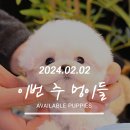 (주)멍이사랑 이미지