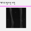 청담동물병원 이미지
