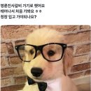 오분 이미지