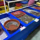 수산물직판장(3호) 이미지