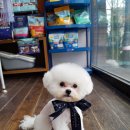 트리밍아유 이미지