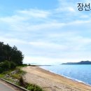 장선포1 네이버블로그