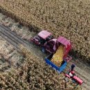 진화농장 이미지