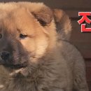 진용 이미지