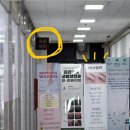 벨르래쉬