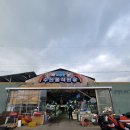 태안 모항항 수산물 직판장 갈매기 수산 후기