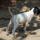 영포농장 이미지