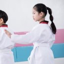 한국체대 MTA 태권도 이미지