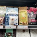 야옹아멍멍해봐 송파위례점 이미지