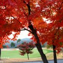 갤러리세븐골프 이미지