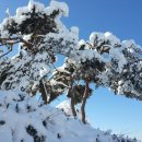 주산농장 이미지