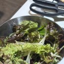 미락 | 아산 탕정 회식하기 좋은 미나리 꽃삼겹살 맛집 미락 후기