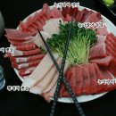 바다참치 이미지
