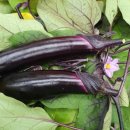 해광농장 이미지