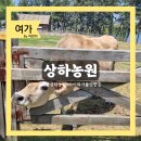 고창 가볼만한곳 상하농원 후기 | 아이와 가볼만한 곳 입장료 할인