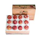 햇살이네 이미지