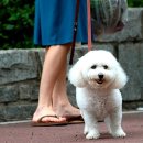 그린피드 이미지