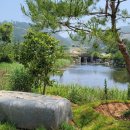 태안비치컨트리클럽 이미지