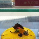 미앤미케익전문점 이미지