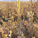 희순농장 이미지