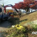 기동반-40 이미지