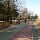 응봉공원5 이미지