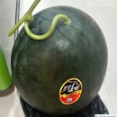 척강한의원 이미지