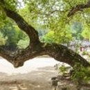 도산서원&예끼마을테마 이미지