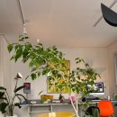 에그하우스 이미지