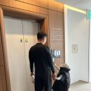 라테라스B 네이버블로그