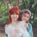팡팡 이미지