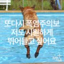 호산나지역아동센터 이미지