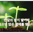 형석 이미지