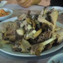 지리산 숲속의 쉼터