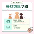 독스하트 구리 이미지
