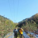 춘양농장 이미지